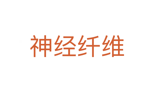 神经纤维