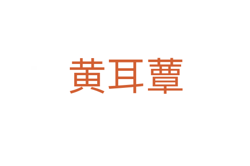 黄耳蕈