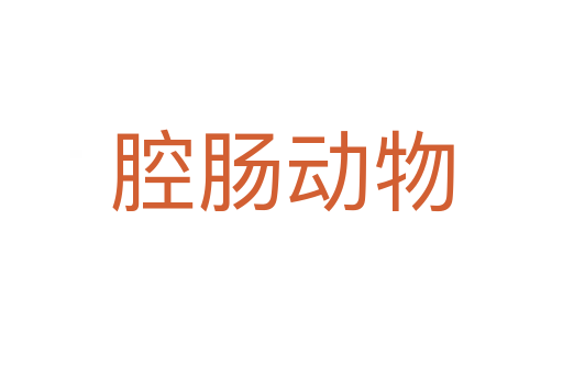 腔肠动物