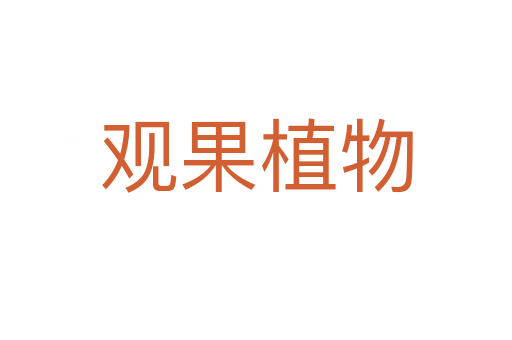 观果植物