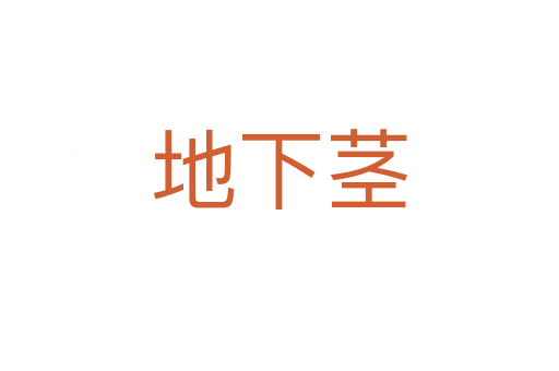 地下茎