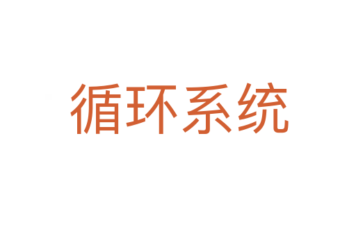 循环系统