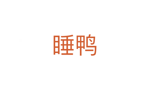 睡鸭