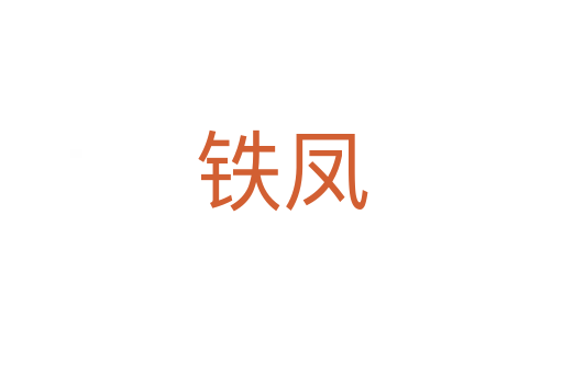 铁凤