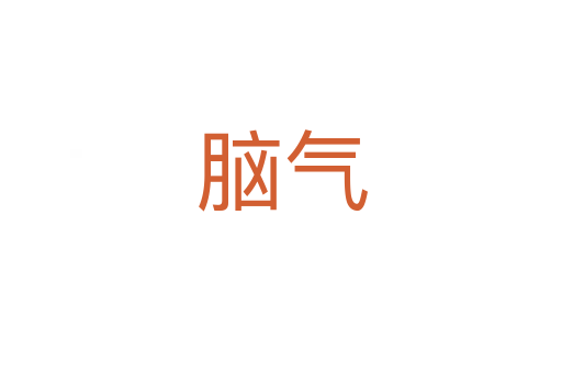 脑气