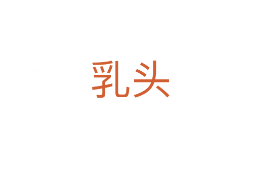 乳头