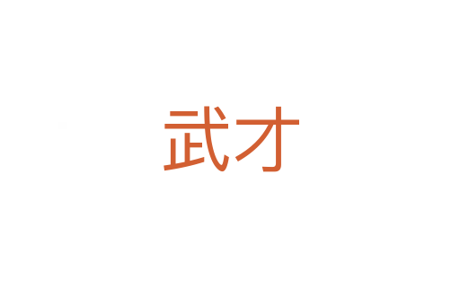 武才