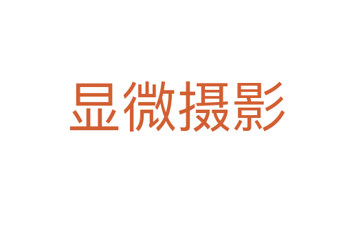 显微摄影