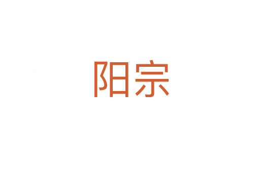 阳宗
