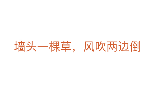 墙头一棵草,风吹两边倒