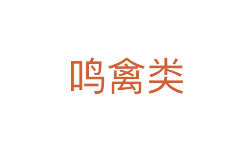 鸣禽类