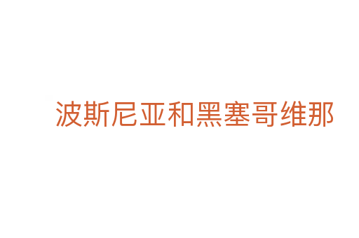 波斯尼亚和黑塞哥维那