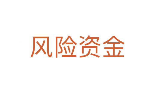 风险资金