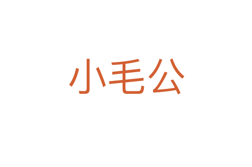 小毛公