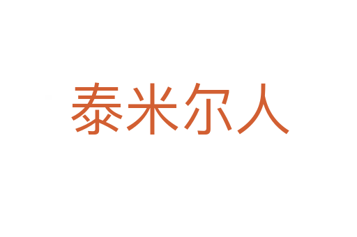 泰米尔人