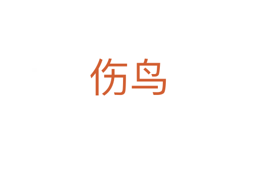 伤鸟