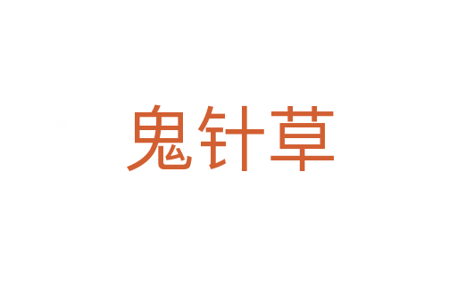 鬼针草