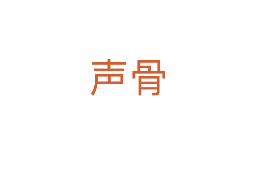 声骨