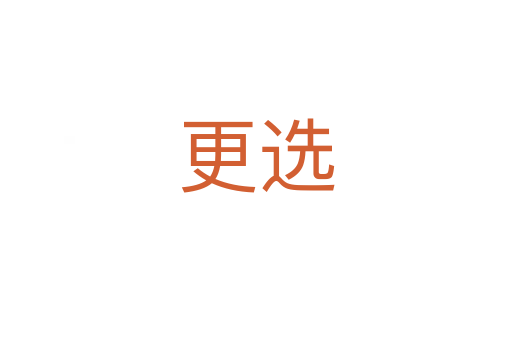 更选