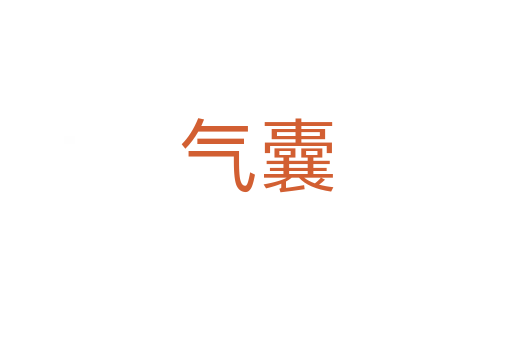 气囊