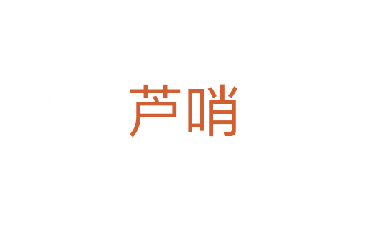 芦哨
