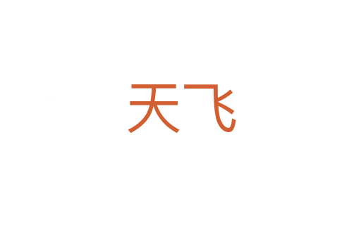 天飞
