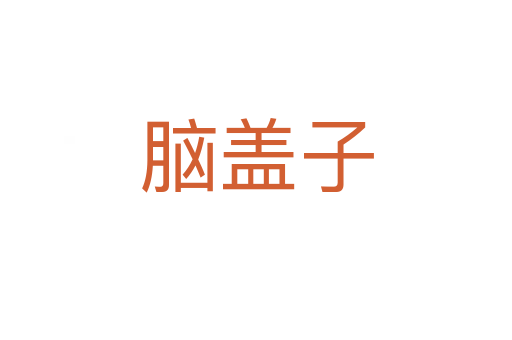 脑盖子