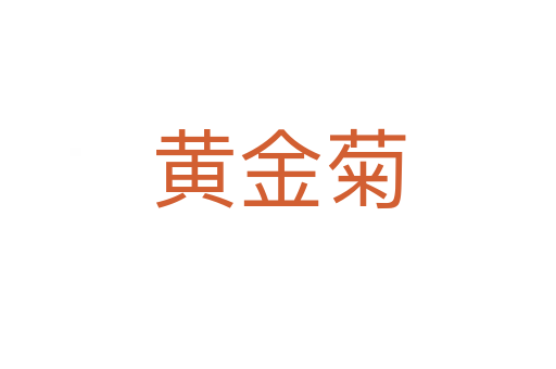 黄金菊
