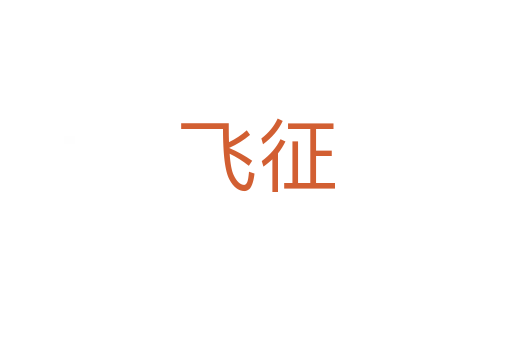 飞征