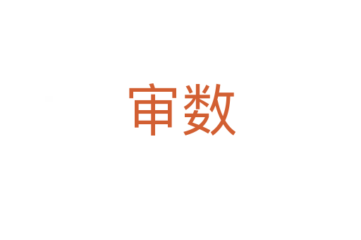 审数
