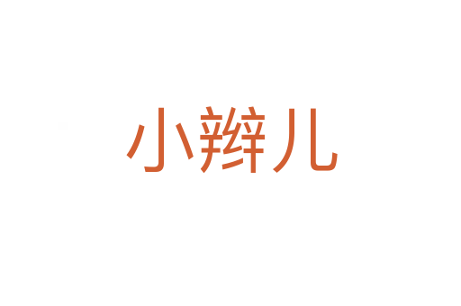 小辫儿