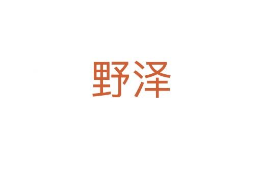 野泽