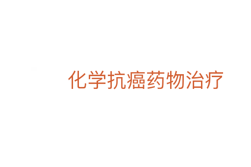 化学抗癌药物治疗