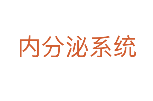 内分泌系统