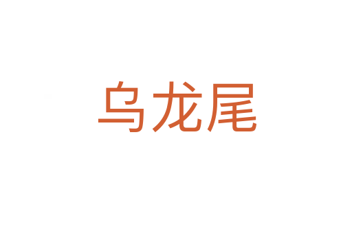 乌龙尾