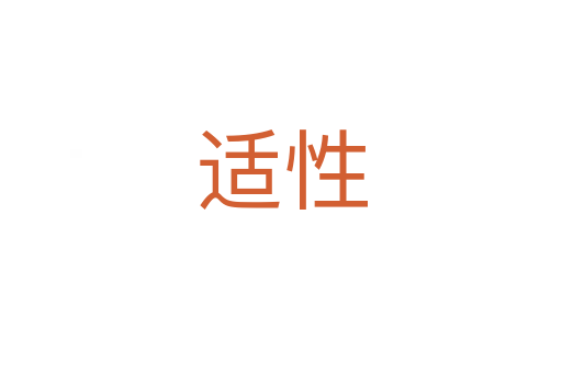 适性
