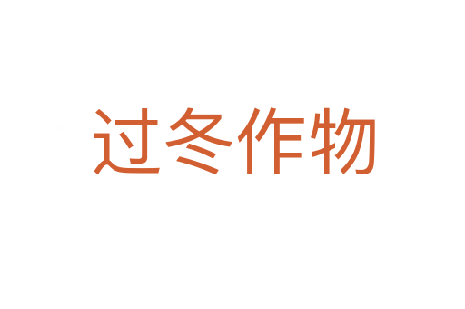 过冬作物