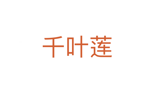千叶莲