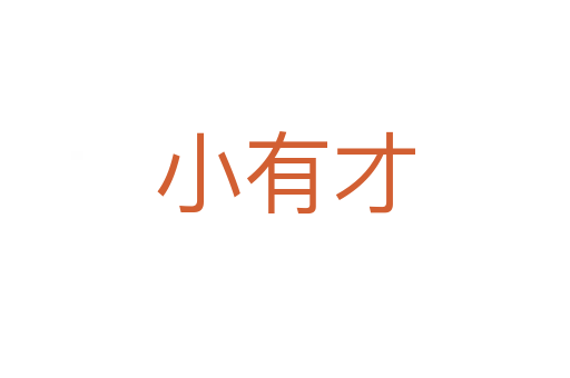 小有才