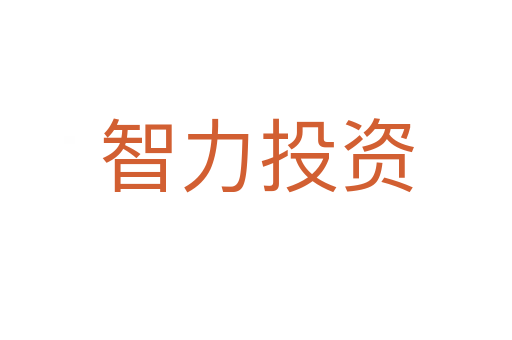 智力投资