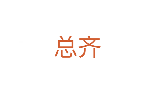 总齐