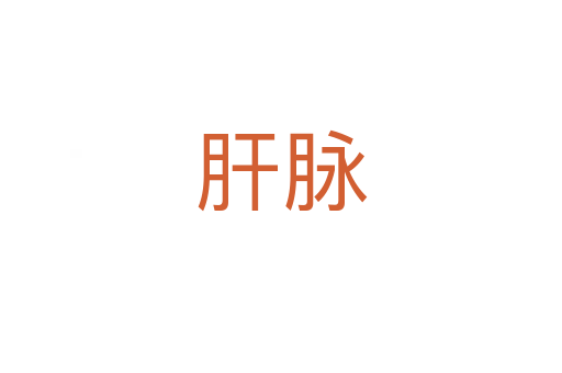 肝脉