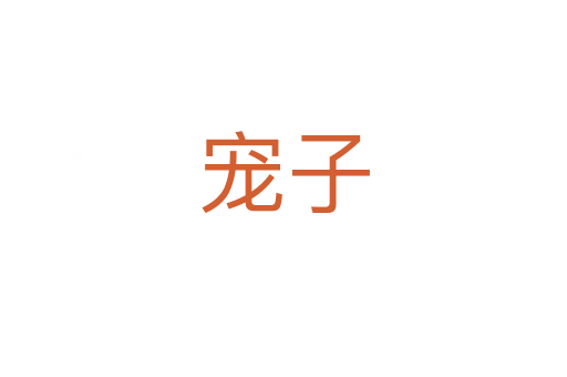 宠子