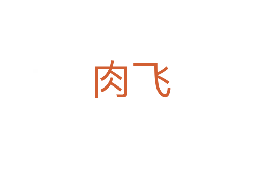 肉飞