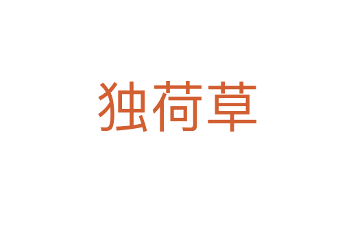 独荷草