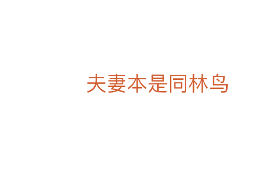 夫妻本是同林鸟