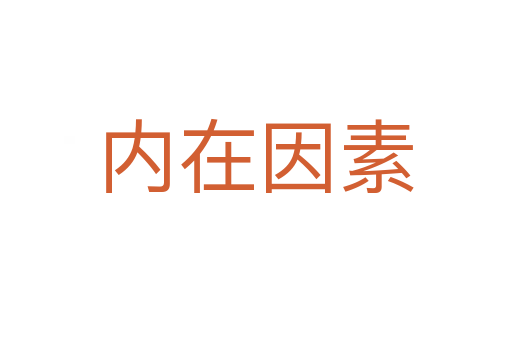 内在因素