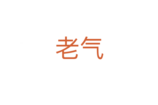 老气