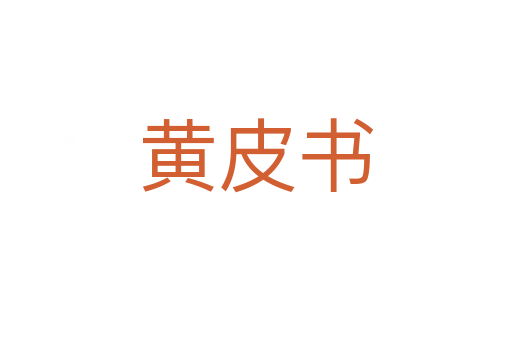 黄皮书