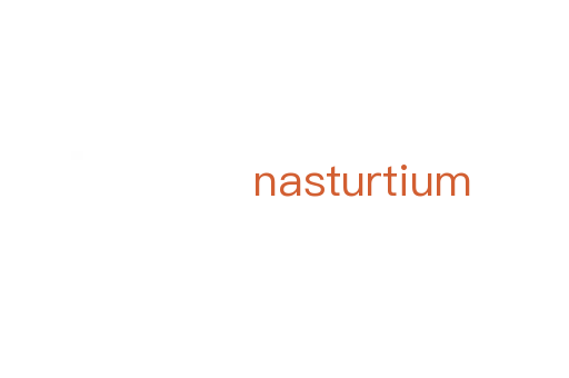 nasturtium